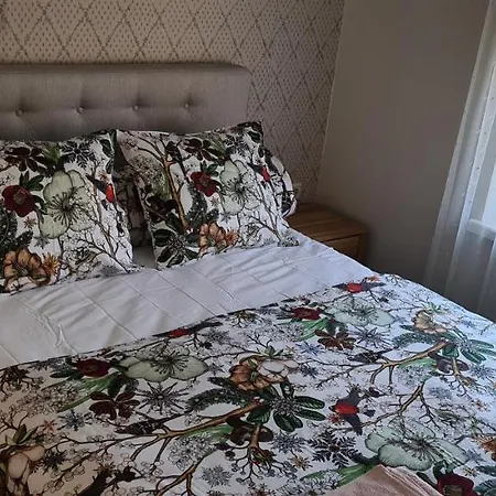 Jaervevaatega Majutuskoht * Otepää